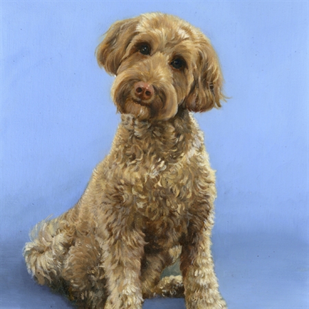 Hand Painted Oil Painting of A Brown Poodle from Photo,by myDaVinci - myDaVinci